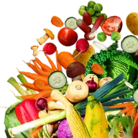 a photo of vegetables